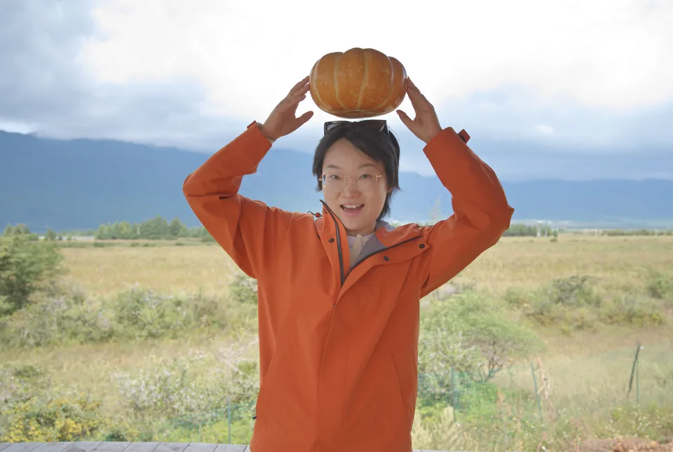 南瓜小趣味
